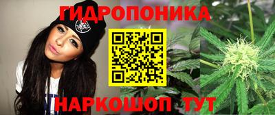 соль ск Лесосибирск