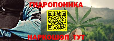 шишки Ливны