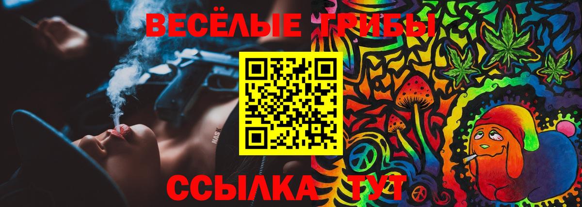 Галлюциногенные грибы GOLDEN TEACHER Калач-на-Дону
