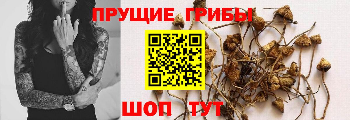 Галлюциногенные грибы мухоморы  Вход с VPN  Галлюциногенные грибы MAGIC MUSHROOMS  Калач-на-Дону 